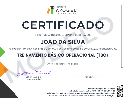 MODELO CERTIFICADO (33)